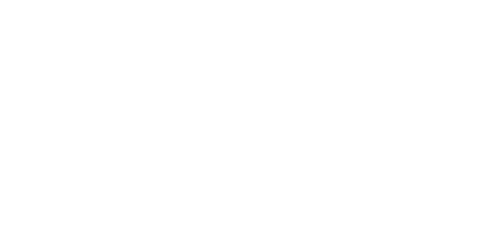 Persona logo