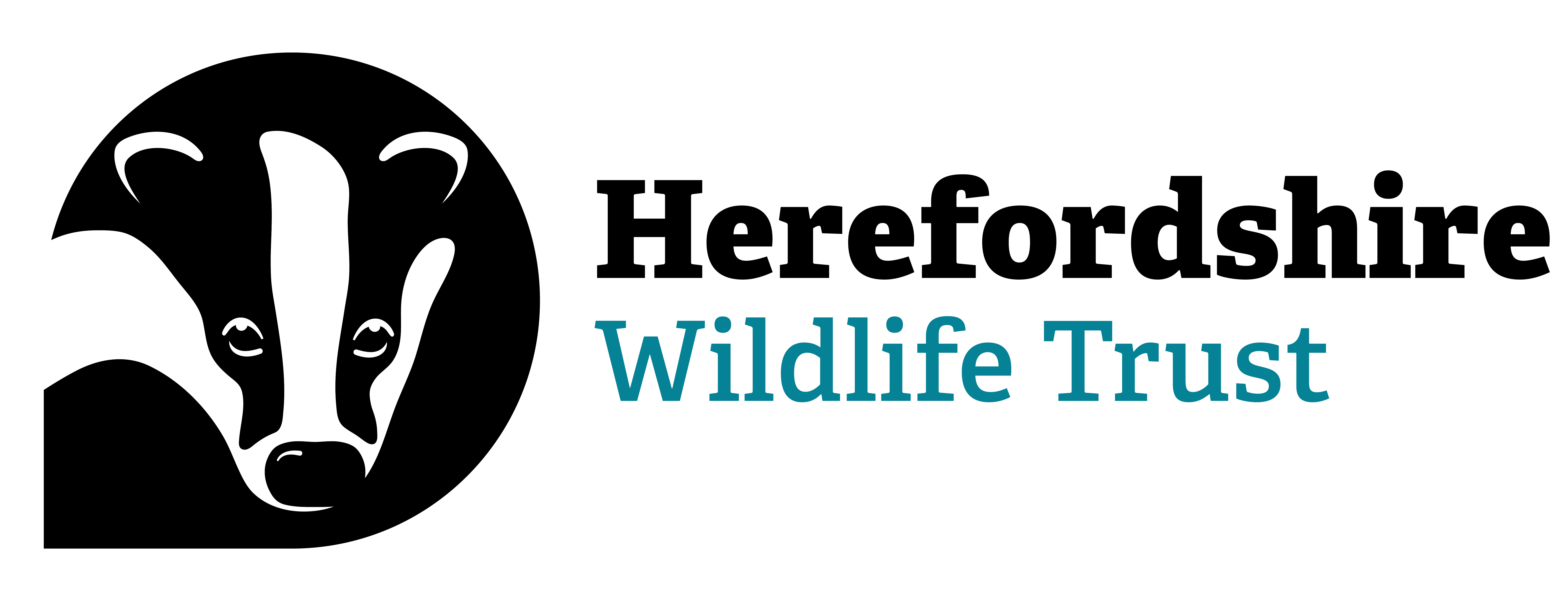 Footer Accreditation